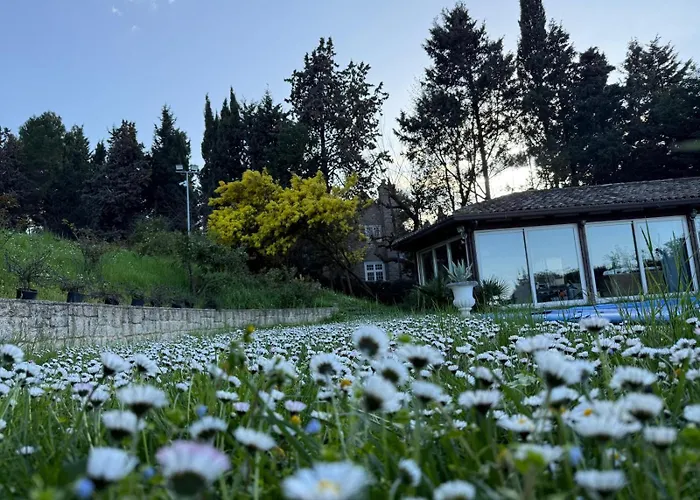 Blue Moon Relais