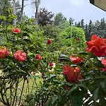 Holiday home Blue Moon Relais