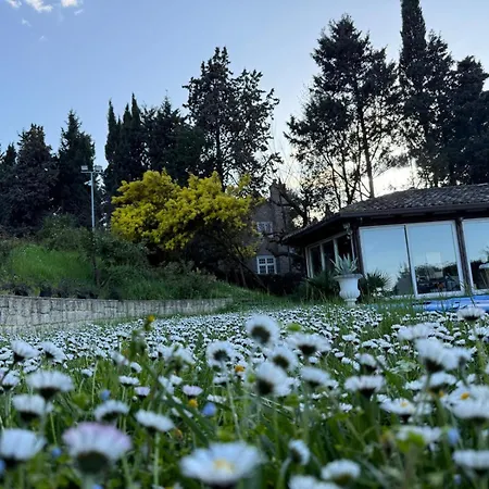 Blue Moon Relais