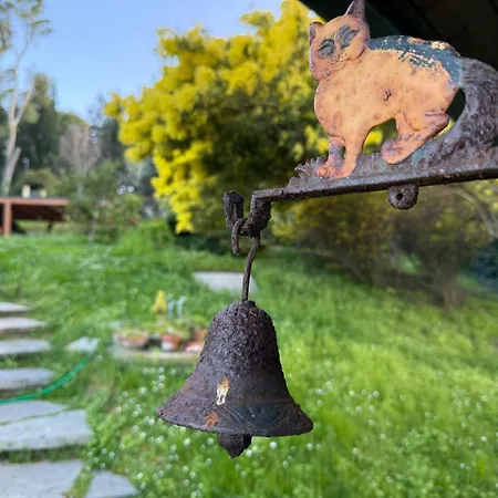 Blue Moon Relais 別荘