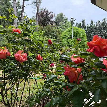 Holiday home Blue Moon Relais