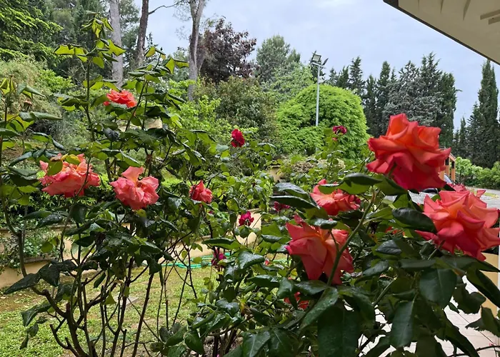 Feriehus Blue Moon Relais