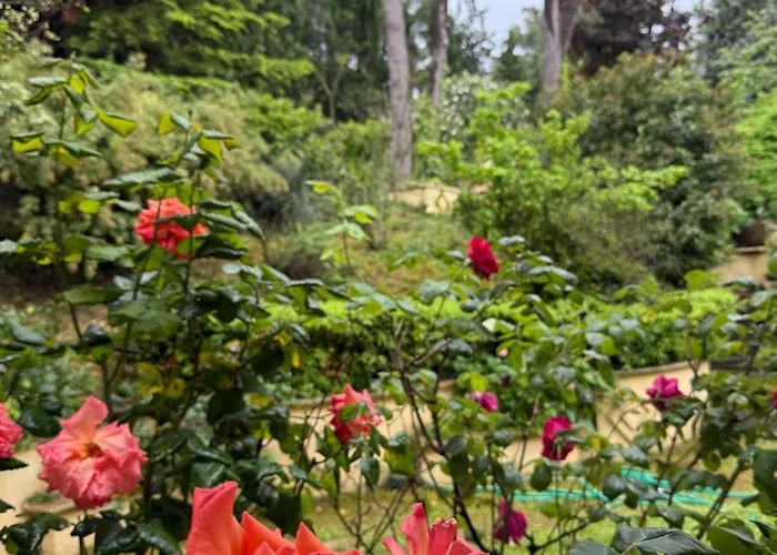 Blue Moon Relais Dom wakacyjny *